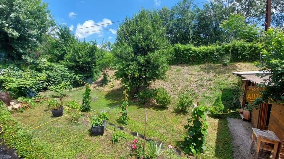 Villa Mimosa Le Bousquet-d'Orb Kültér fotó